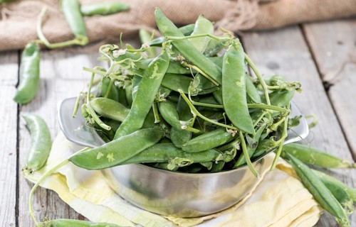 Small portion of fresh harvested Peas (close-up shot)