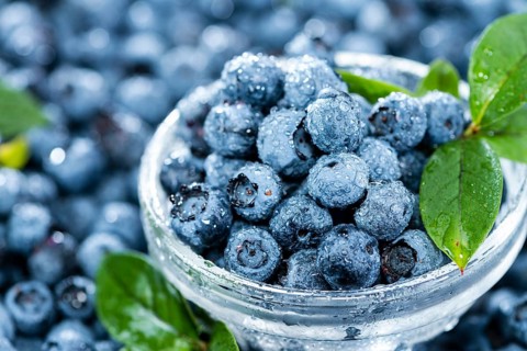 Heap of fresh harvested Blueberries (with water drops)