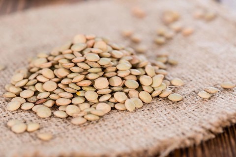 Portion of brown Lentils (detailed close-up shot)