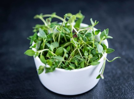 Fresh Thyme on a slate slab (selective focus, close-up shot)