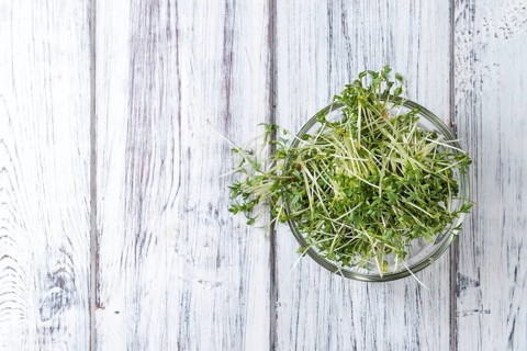 Portion of Cress (close-up shot) on rustic wooden background
