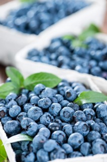 Portion of fresh harvested Blueberries (detailed close-up shot)