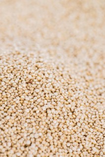 Portion of Quinoa for use as background image or as texture