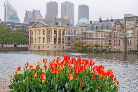 Bright red tulips bloom in front of the water and a mix of modern and historic buildings in spring