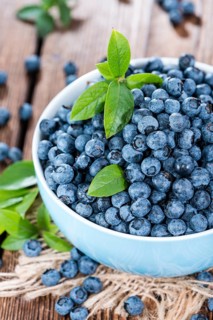 Portion of fresh harvested Blueberries (detailed close-up shot)