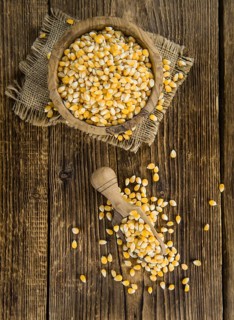 Dried Corn (detailed close-up shot, selective focus) on vintage wooden background