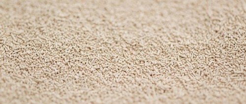 Dried Yeast for use as background image or as texture