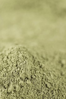 Stevia Powder close-up shot for use as background image or as texture
