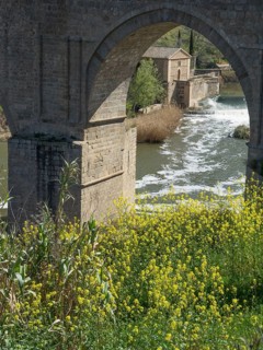 Stone bridge over river with waterfall and yellow flowers in the foreground, Toledo, Spain, Europe