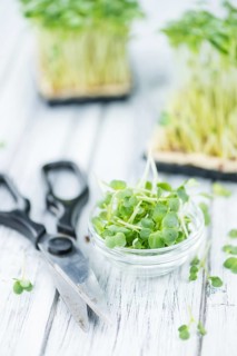 Portion of fresh Cutted Cress (close-up shot, selective focus)