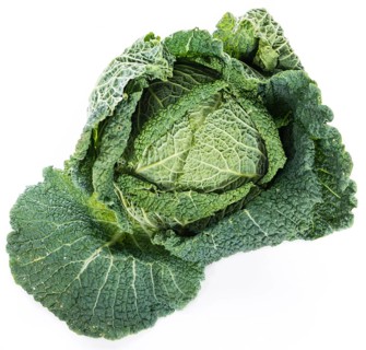 Savoy Cabbage (close-up shot) isolated on white background