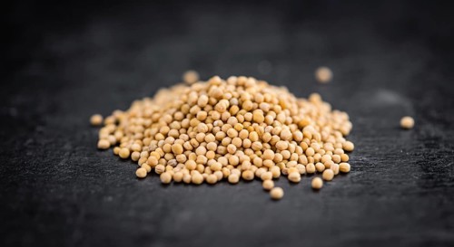 Portion of Seeds (Mustard) on a rustic slate slab (selective focus, close-up shot)