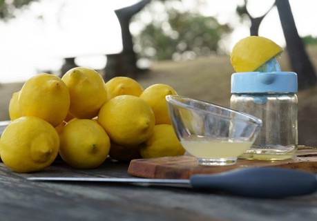 Lemon squeezed with a hand juicer on a wooden table in the field with a pile of lemons and trees in