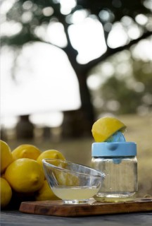 Lemon squeezed with a hand juicer on a wooden table in the field with a pile of lemons and trees in