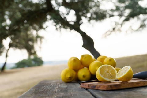 Lemon cut with a knife on a wooden board on a table in a park with a pile of lemons and trees in