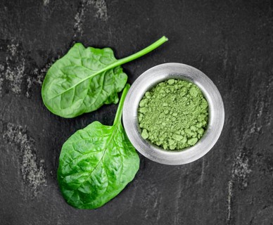 Homemade green spinach powder (close up shot, selective focus)