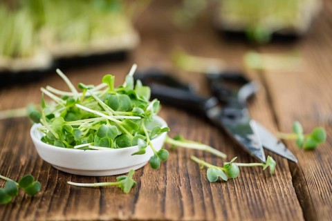 Cress on an old wooden table as detailed close-up shot (selective focus)