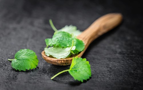 Balm on a vintage background as detailed close-up shot (selective focus)