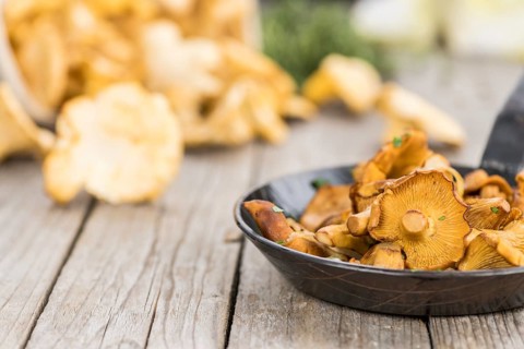 Fresh made Fried Chanterelles on a vintage background as detailed close-up shot