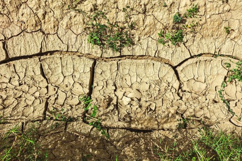Closeup of dried crack mud representing global warming and climate change
