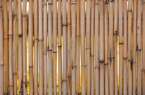 Close up of bamboo fence background at beach