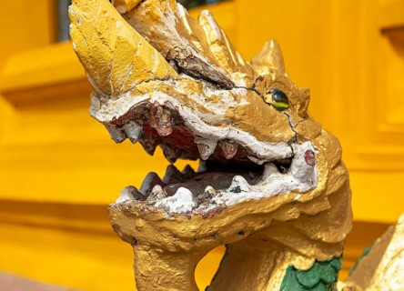 Close-up of gilded Naga, guardian deity, Wat Mixai, Vientiane, Laos, Asia