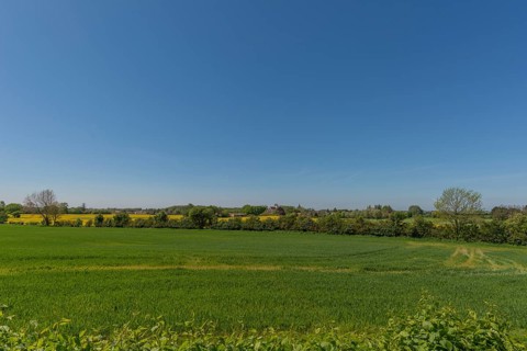 Lindelse, Ringkobing, South Funen, Langeland Island, agriculture, grain field, wing protection,