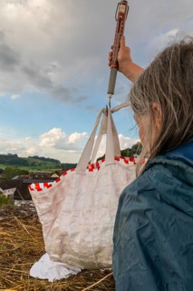 White stork (Ciconia ciconia) being weighed in a bag, ringing in the nest, Göggingen, Sigmaringen
