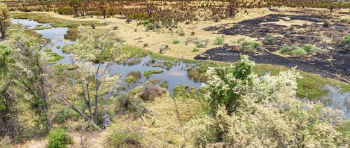 Helicopter Safari at the Okavango Delta, Botswana during a nice and sunny day
