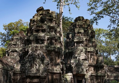 The famous Ta Prohm temple in Angkor Wat, Cambodia, Asia