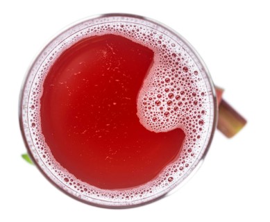 Fresh made Rhubarb Spritzer isolated on white background (close up, selective focus)