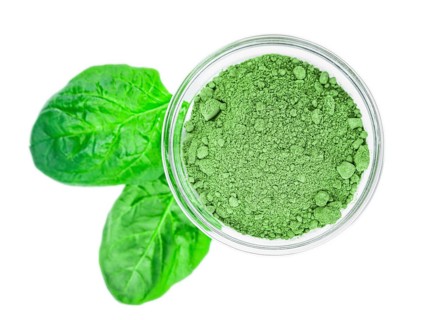 Spinach powder isolated on white background (close up, selective focus)