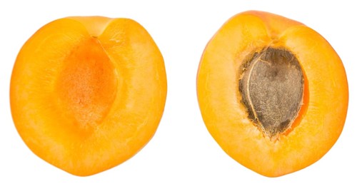 Apricots isolated on white background (selective focus, close-up shot)