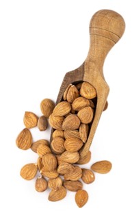 Portion of Apricot Kernels isolated on white background as detailed close up shot (selective focus)