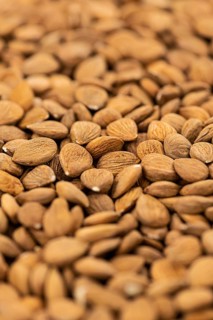 Detailed Apricot Kernel shot for use background or as texture