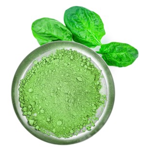 Spinach powder isolated on white background (close up, selective focus)