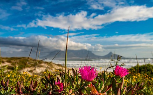 Cape Town view from Bloubergstrand during sunset, South Africa, Africa