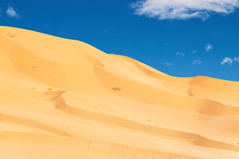 Jeep safari in the beautiful Omani Rub al-Chali Desert