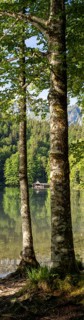 Morning atmosphere, reflection, trees and boathouse at the Toplitzsee, panoramic shot,