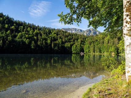 Morning atmosphere, reflection, Toplitzsee, Salzkammergut, Styria, Austria, Europe