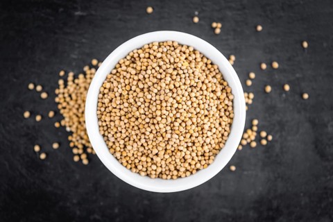 Portion of Mustard Seeds as detailed close up shot on a slate slab (selective focus)