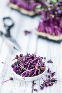 Portion of fresh Cutted Cress (close-up shot, selective focus)