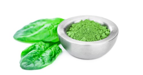 Spinach powder isolated on white background (close up, selective focus)