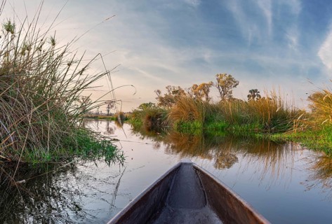 Adventure boat trip in a traditional Makoro at the Okavango Delta, Botswana, Africa