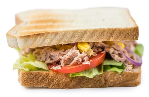Fresh made Tuna Sandwich (isolated on white)