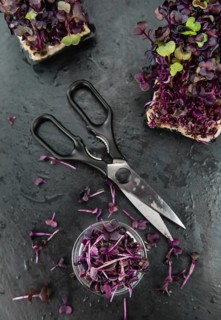 Portion of Fresh cutted Cress on a rustic slate slab (selective focus, close-up shot)