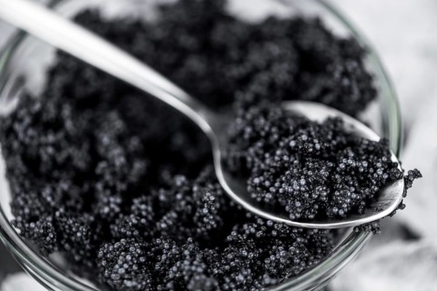Caviar on a vintage looking slate slab (selective focus)