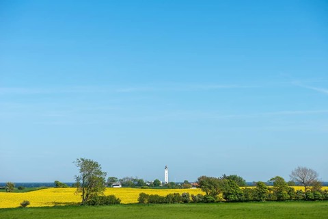View from Hatbakken Fakkebjerg, Bagenkop, Kelsnor, Langeland, agriculture, rape cultivation,