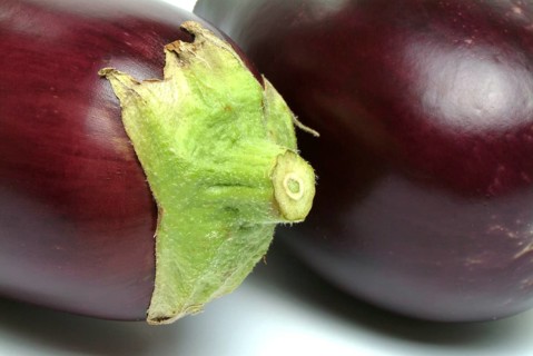 Aubergine, Solanum melongena, egg plant, single ripe fruit, stem base