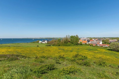 Bagenkop Klinten, Dovne Kliff, view from the cliff over the town, flowering meadow, Langeland